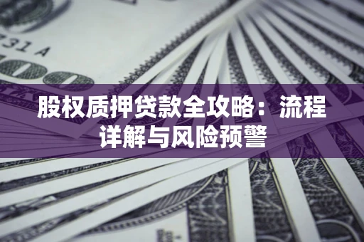 北京股权质押贷款全攻略：流程详解与风险预警