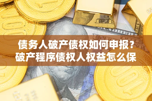 北京债务人破产债权如何申报？破产程序债权人权益怎么保障？