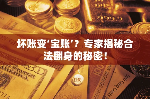 北京坏账变‘宝账’？专家揭秘合法翻身的秘密！