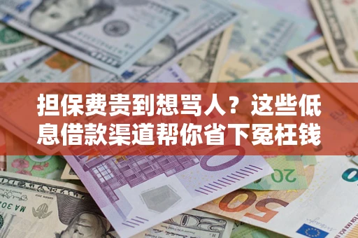 北京担保费贵到想骂人？这些低息借款渠道帮你省下冤枉钱