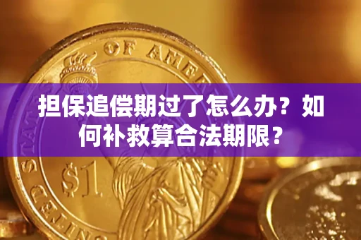北京担保追偿期过了怎么办？如何补救算合法期限？