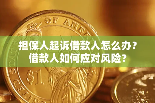 北京担保人起诉借款人怎么办？借款人如何应对风险？