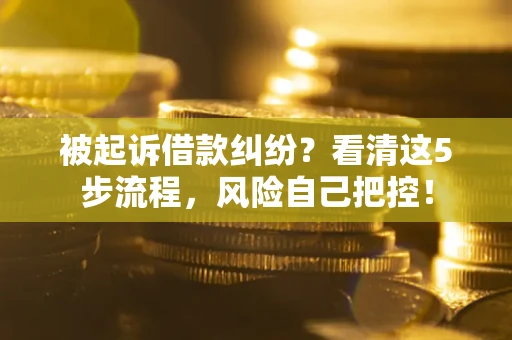 北京被起诉借款纠纷？看清这5步流程，风险自己把控！