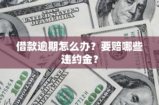 北京借款逾期怎么办？要赔哪些违约金？